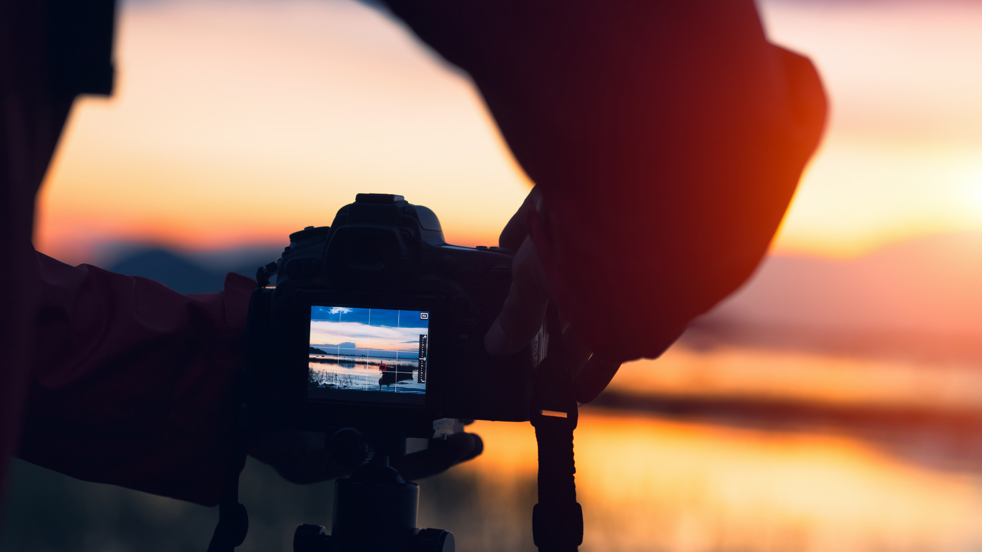 slider image 1621243260e1af0c20-0